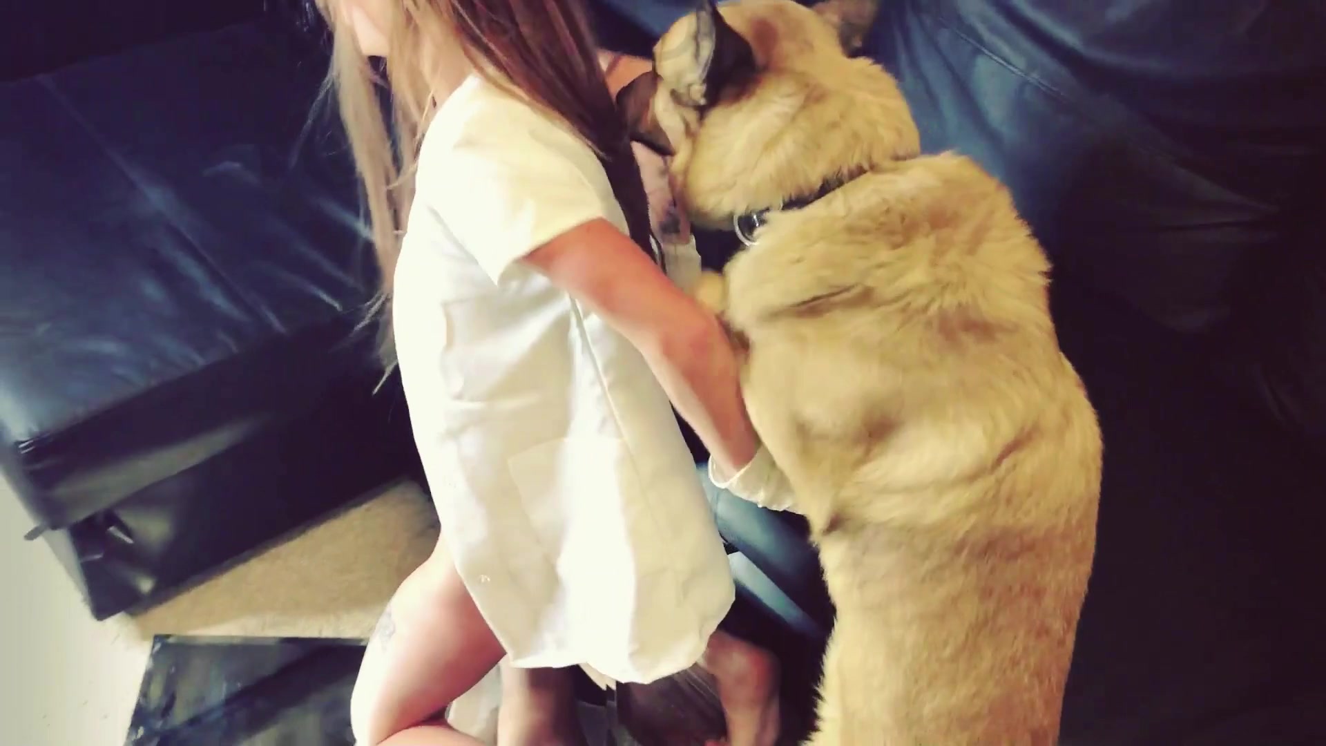 Chien baise une fille et éjacule en elle