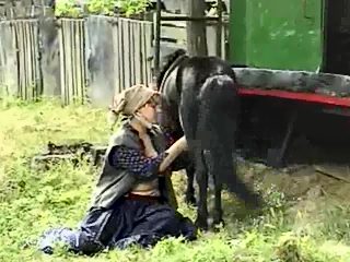 Femme baise avec un poney